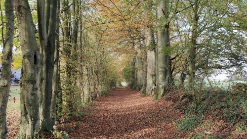 Chemin de randonnée